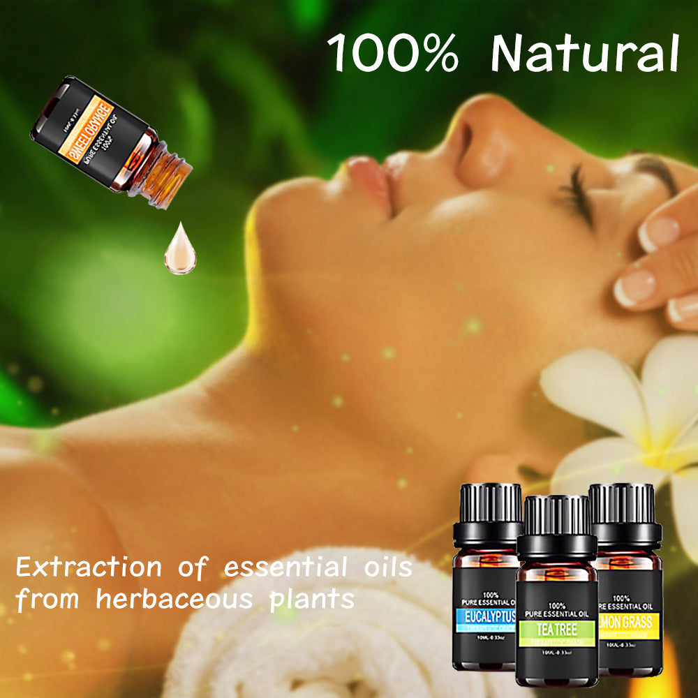 Aromatherapy Diffuser Oils for Home, Yoga & Relaxation | Natural Scents Collection